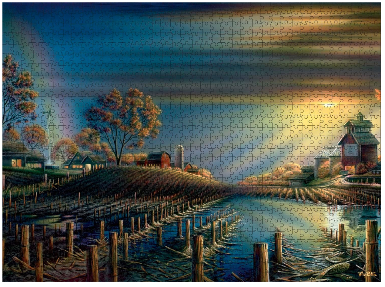 After The Storm 1000 Pieces