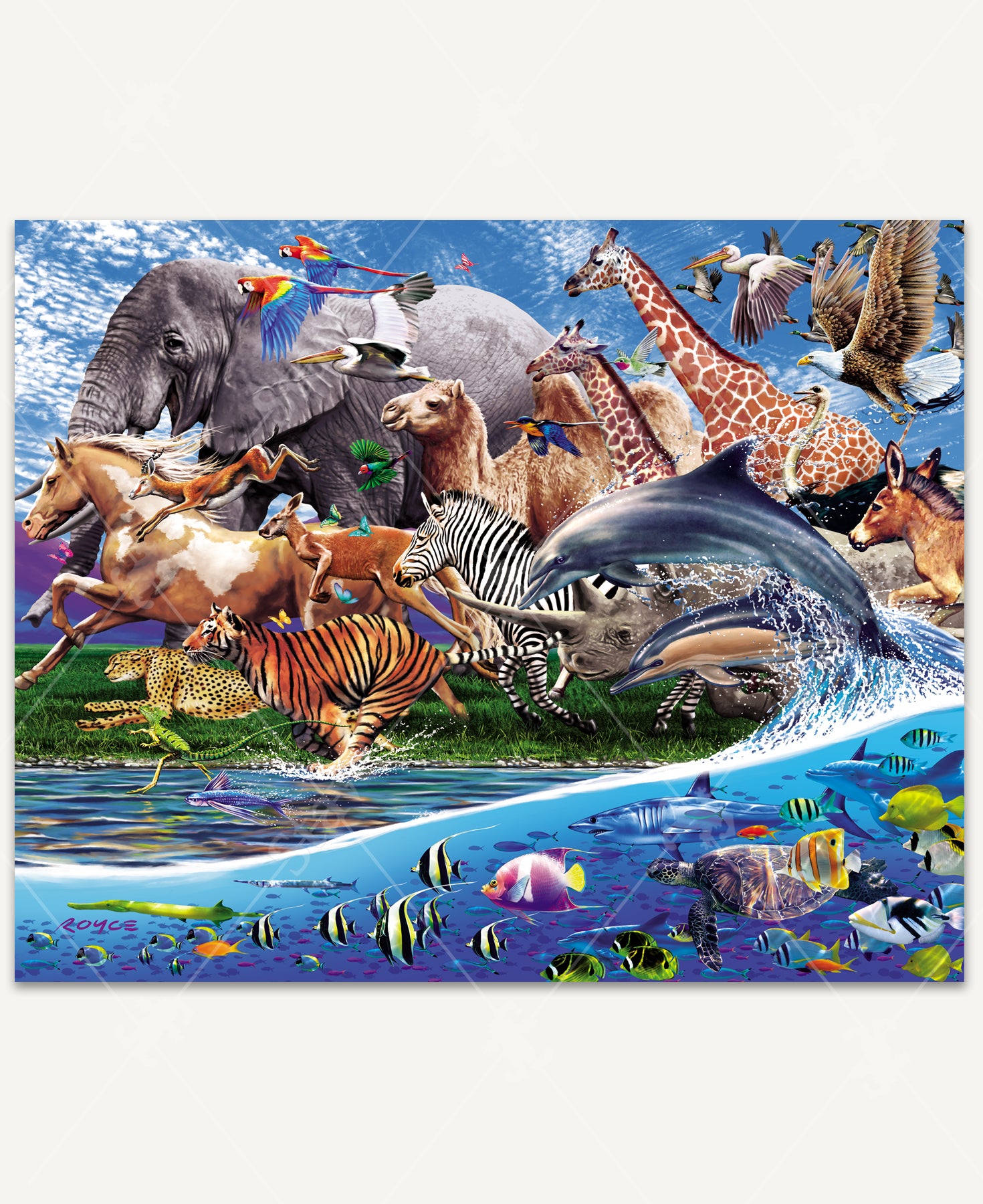 Migration 1000 Pieces