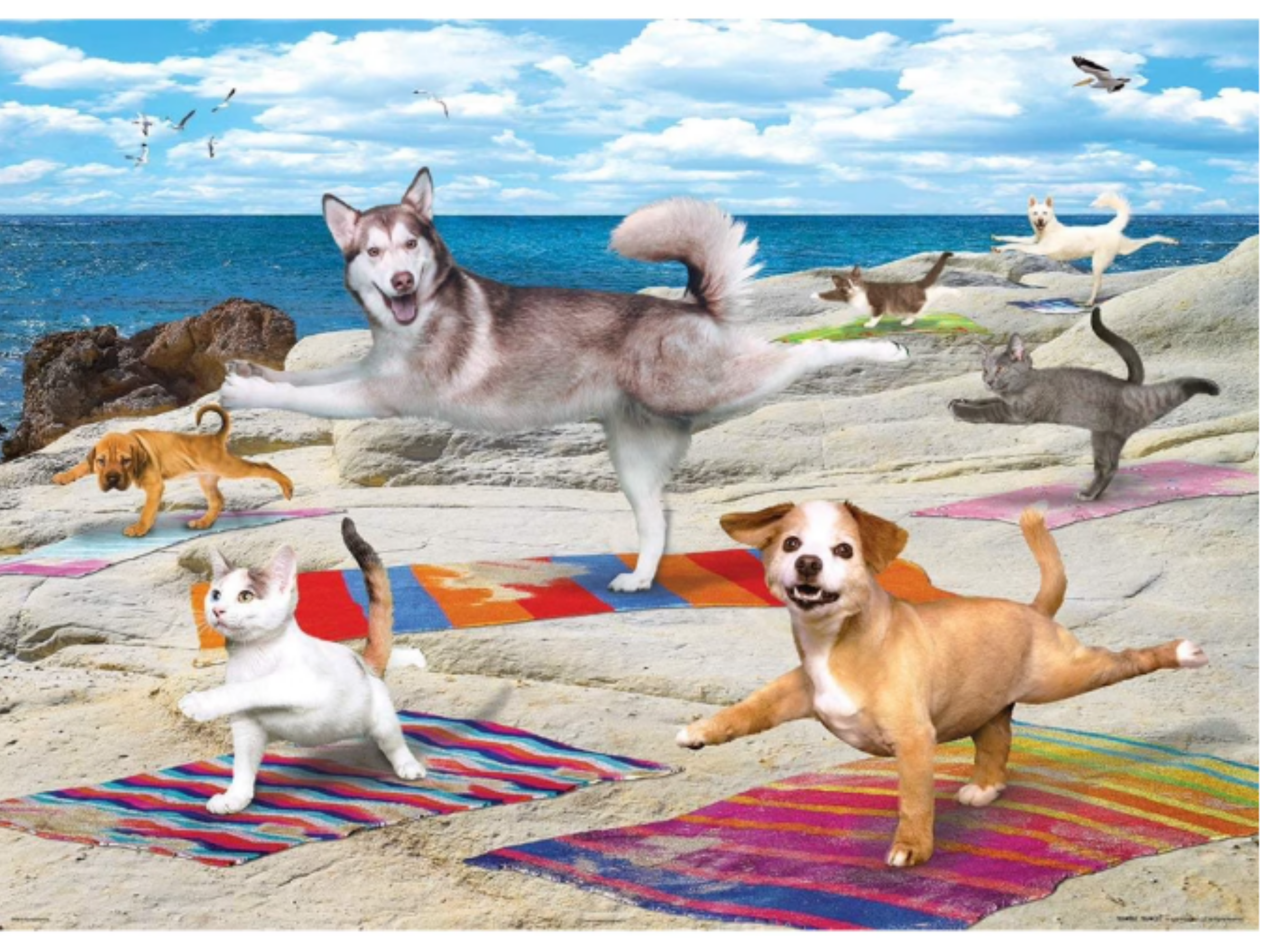 Yoga Beach 300 Pieces