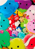 Share My squad Squishmallows 1000 Pieces