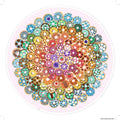 Donuts 500 Pieces
