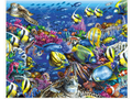 Coral Reef 2