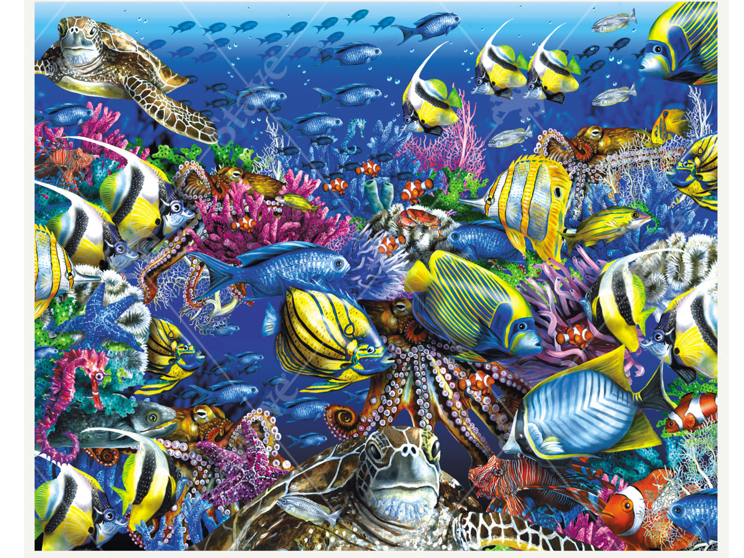 Coral Reef 2