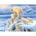 Ice Castle 500 Pieces