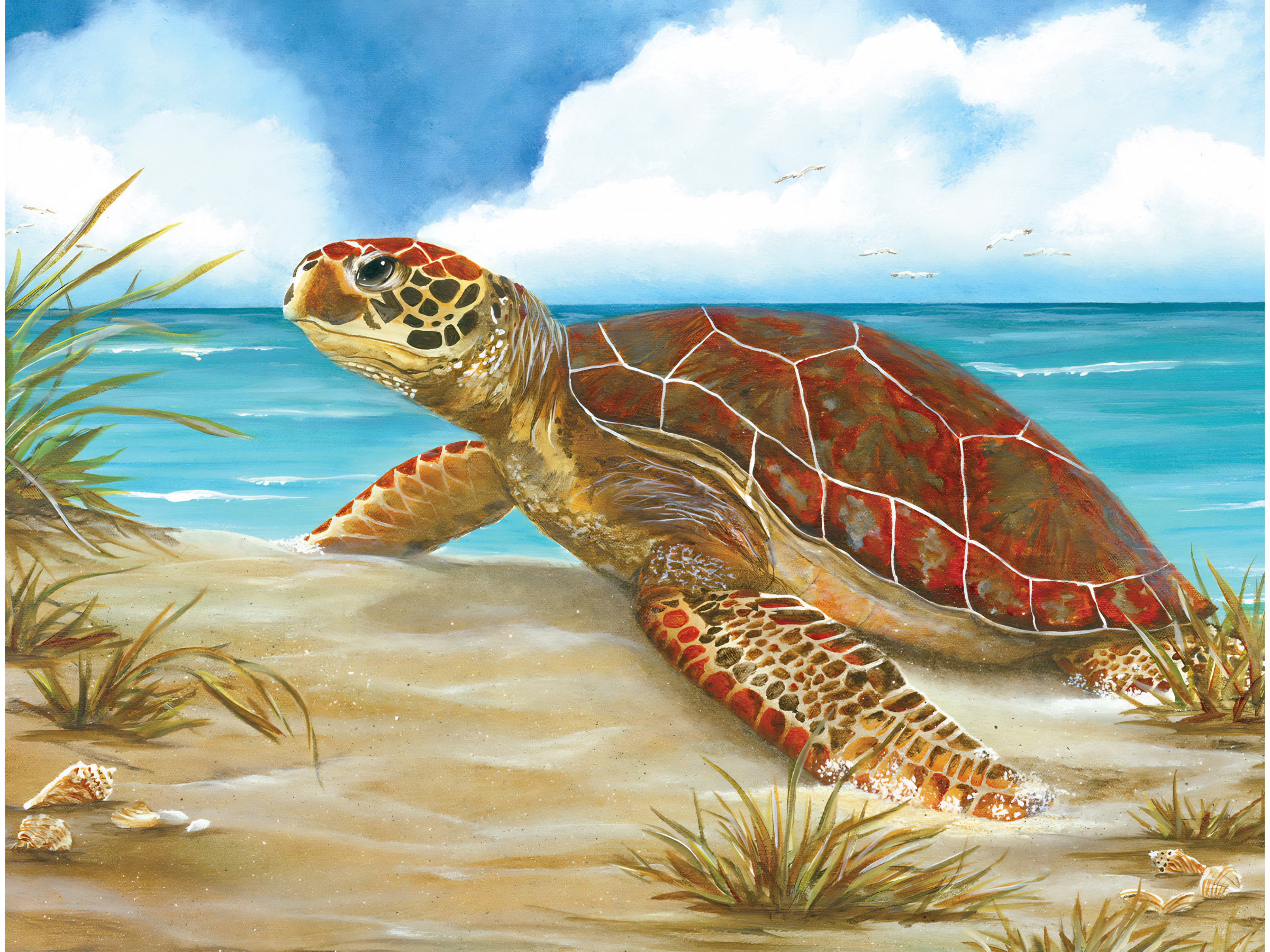 Perfect Spot 550 Pieces