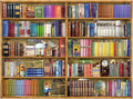 Shelfies 300 Pieces