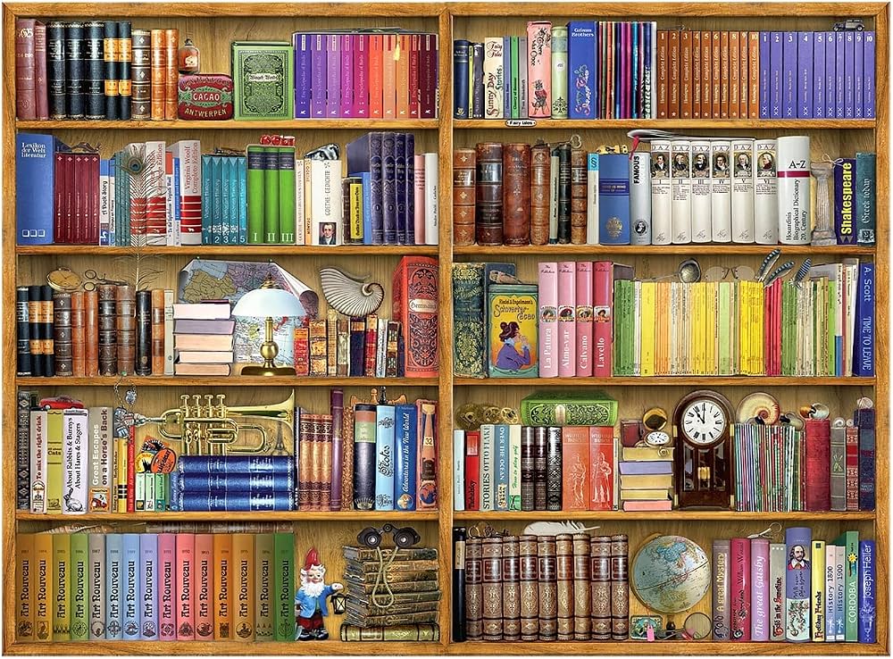 Shelfies 300 Pieces