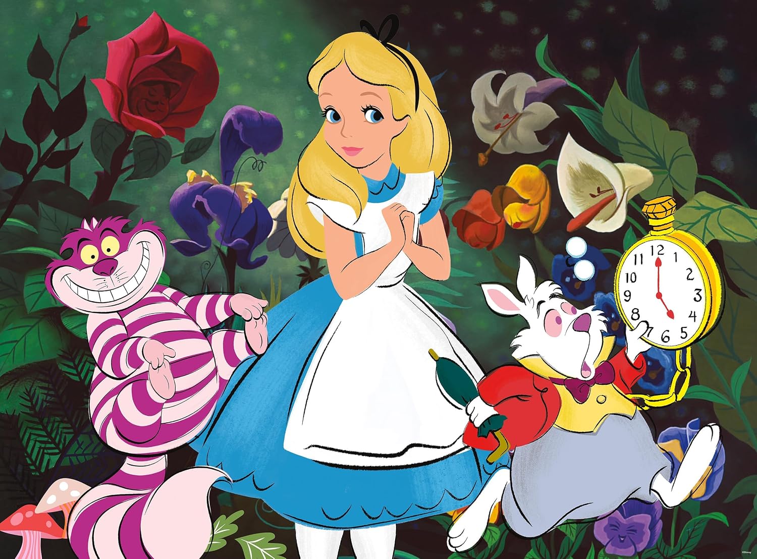 Alice and Friends 1000 Pieces