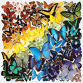 Butterflies 500 Pieces
