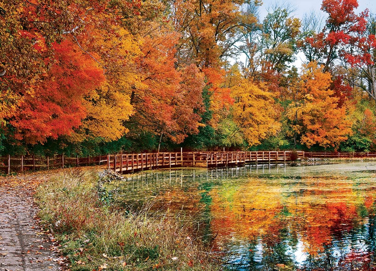 Sharon Woods Ohio USA 1000 Pieces