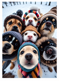 Winter Puppy Selfie 300 Pieces