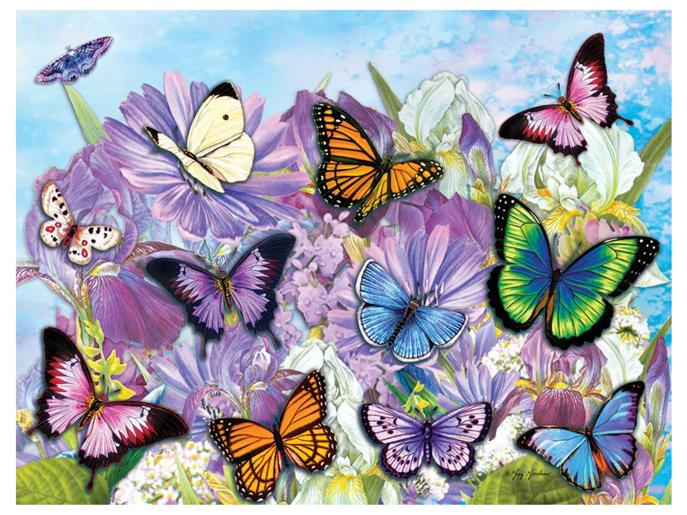 Butterflies 500 Pieces