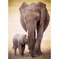 Elephant and Baby 1000 Pieces
