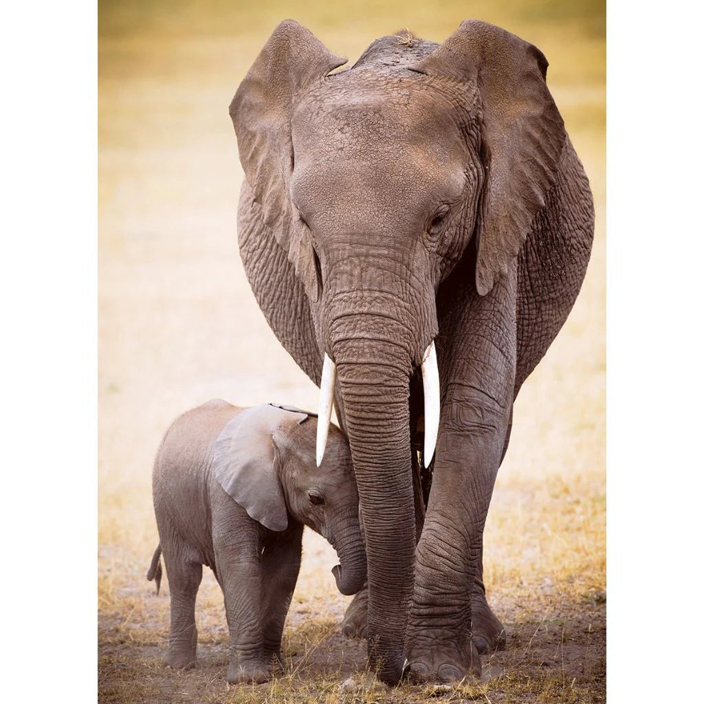 Elephant and Baby 1000 Pieces