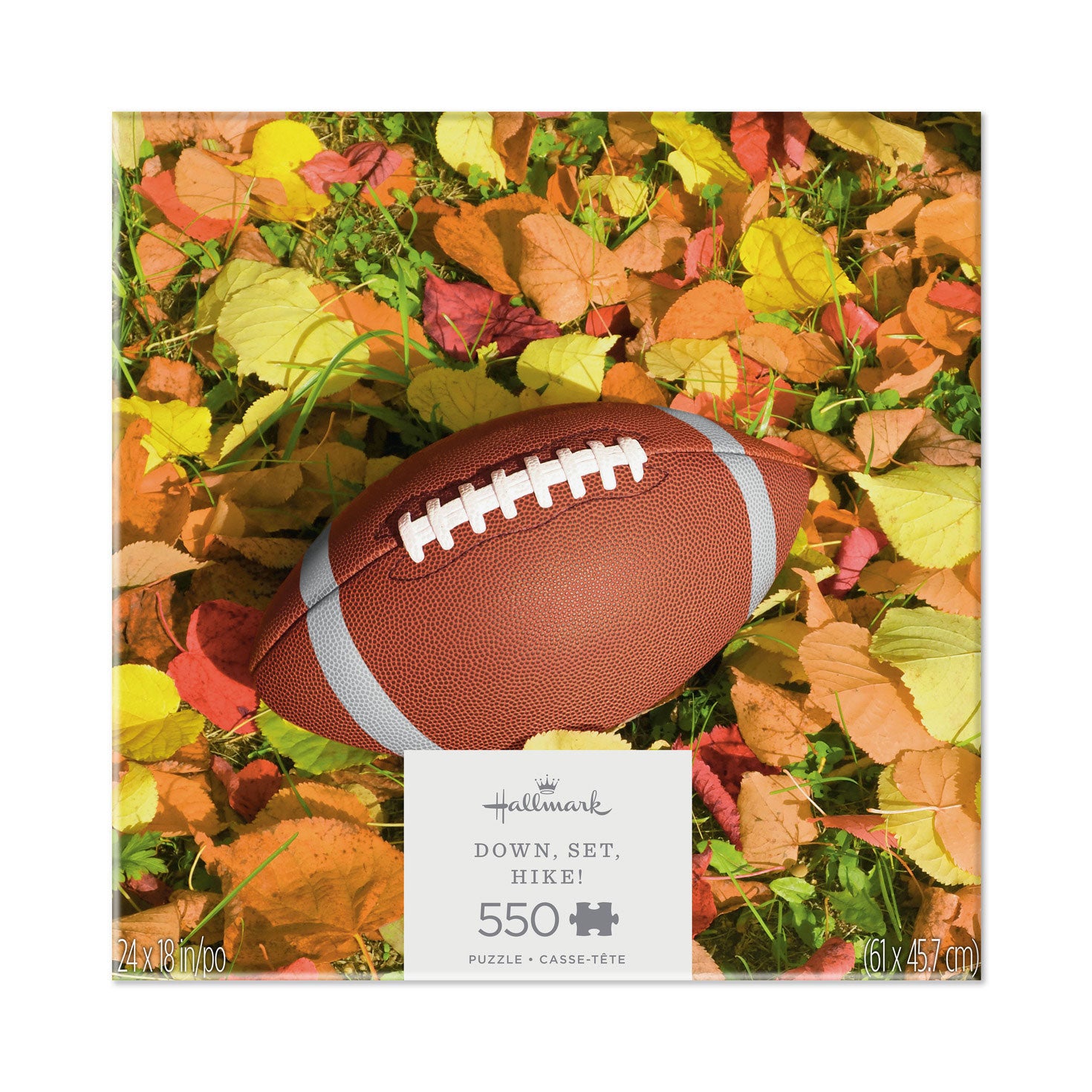 Down, Set, Hike 550 Pieces