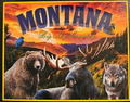 Montana 500 Pieces