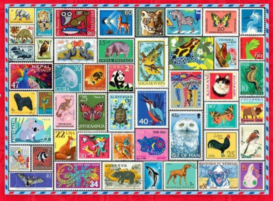Snail Mail 500 Pieces