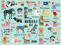 Hotdogs A-Z 1000 Pieces