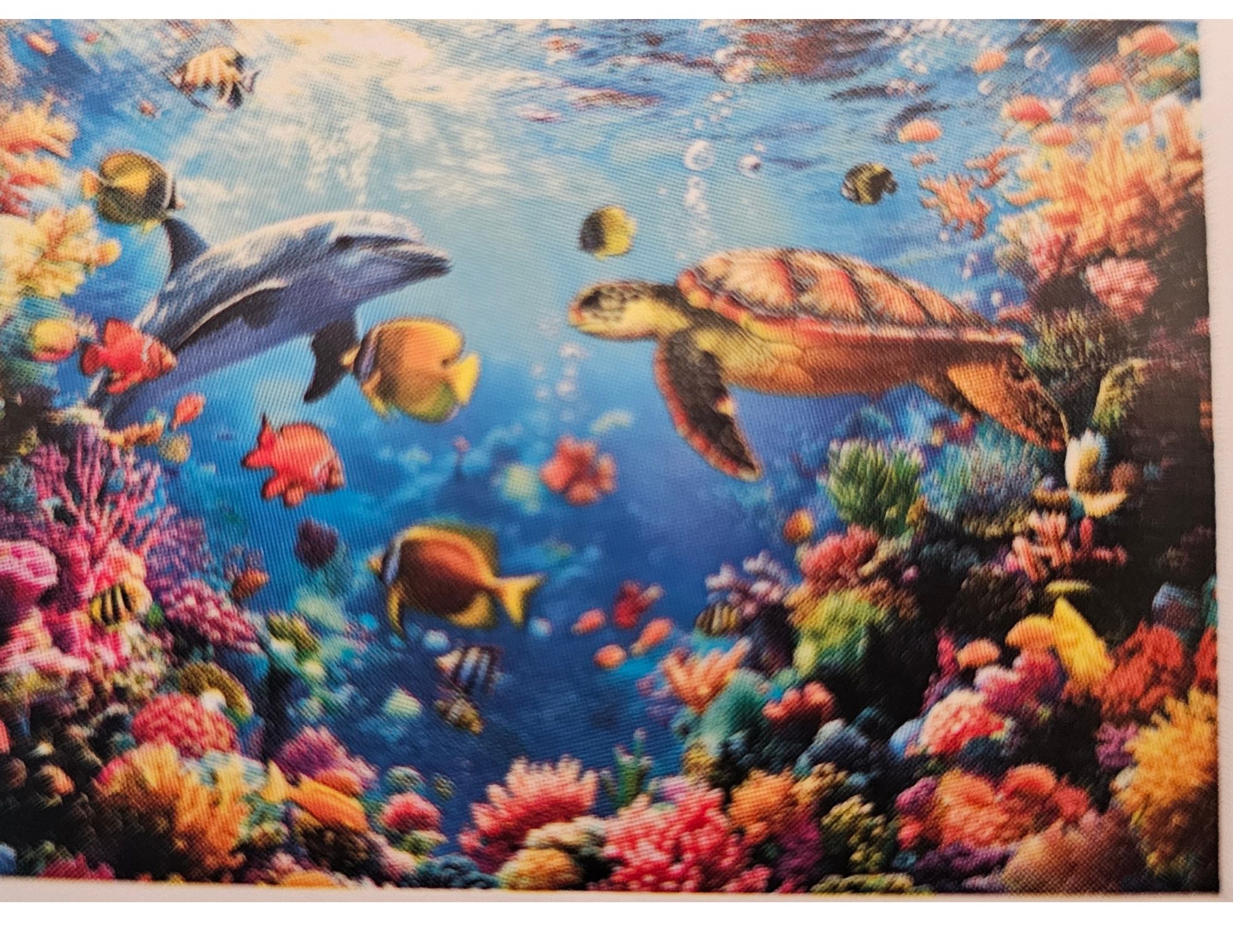 Underwater World 1000 Pieces