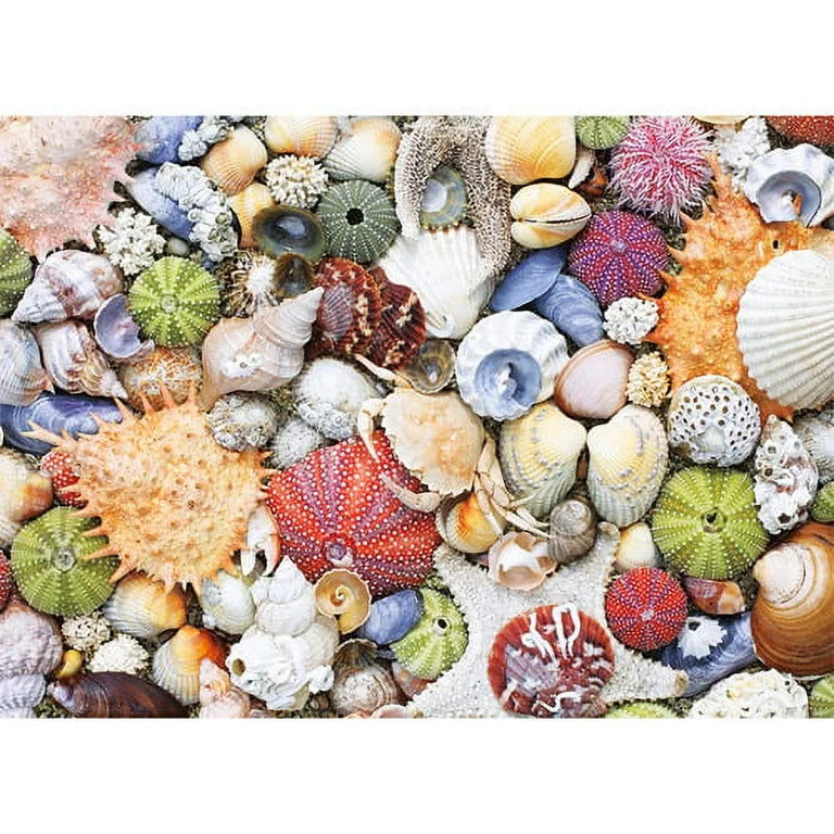 Seashore 1000 Pieces