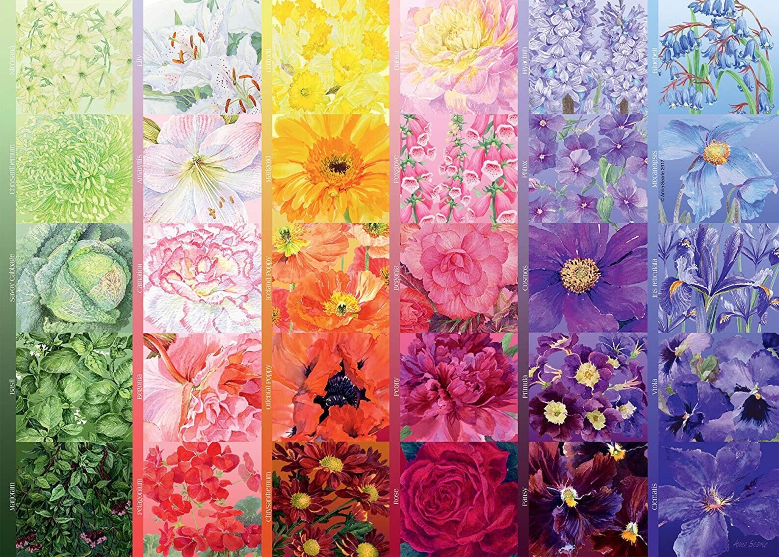 The Gardner's Palette 1000 Pieces
