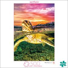 Earthpix Turtle 500 Pieces