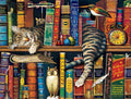 Fredrick The Literate 300 Pieces